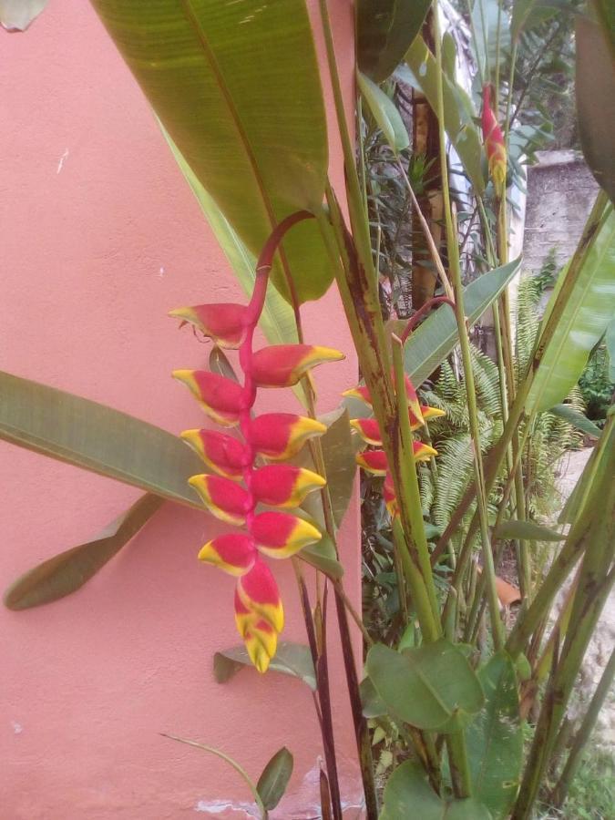 Pousada Portal Das Flores 帕拉蒂 外观 照片